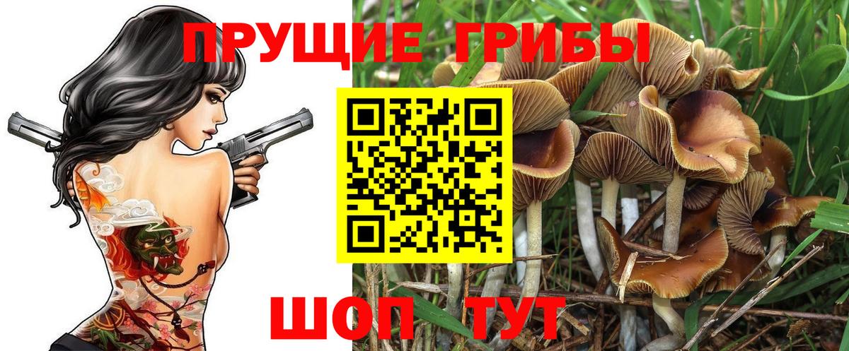Псилоцибиновые грибы Psilocybine cubensis Усолье-Сибирское