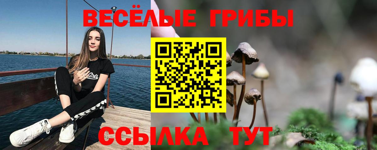 Усолье-Сибирское  Галлюциногенные грибы MAGIC MUSHROOMS  Галлюциногенные грибы Psilocybine cubensis  наркота  Вход с VPN 